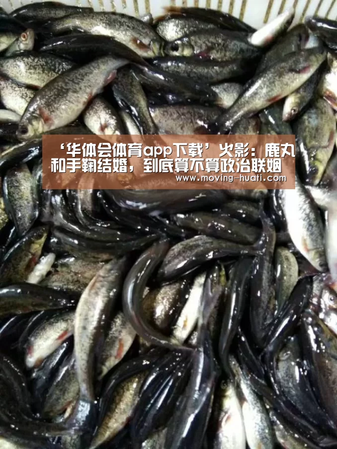 华体会官方网站入口