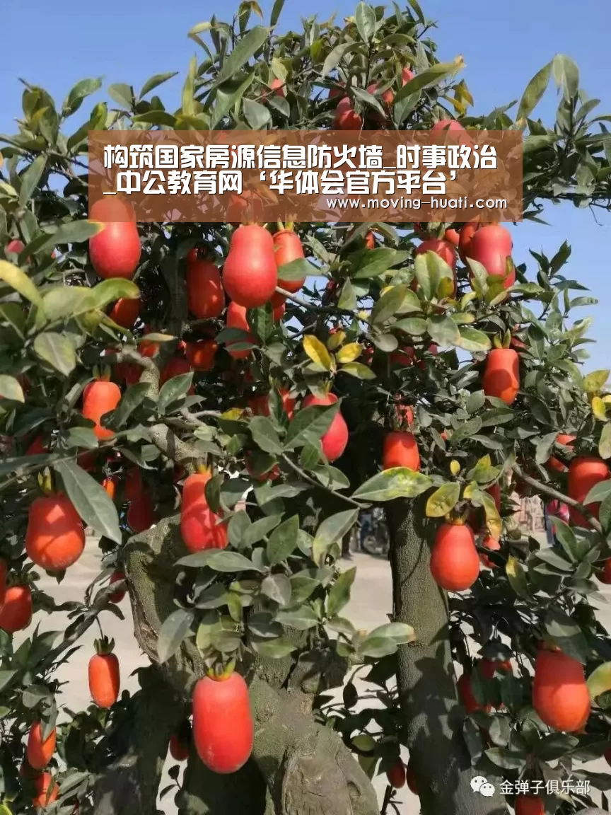 构筑国家房源信息防火墙_时事政治_中公教育网‘华体会官方平台’(图2) 华体会官方网站入口