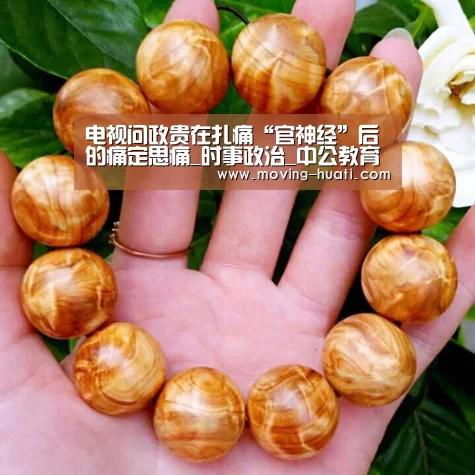 华体会官网下载